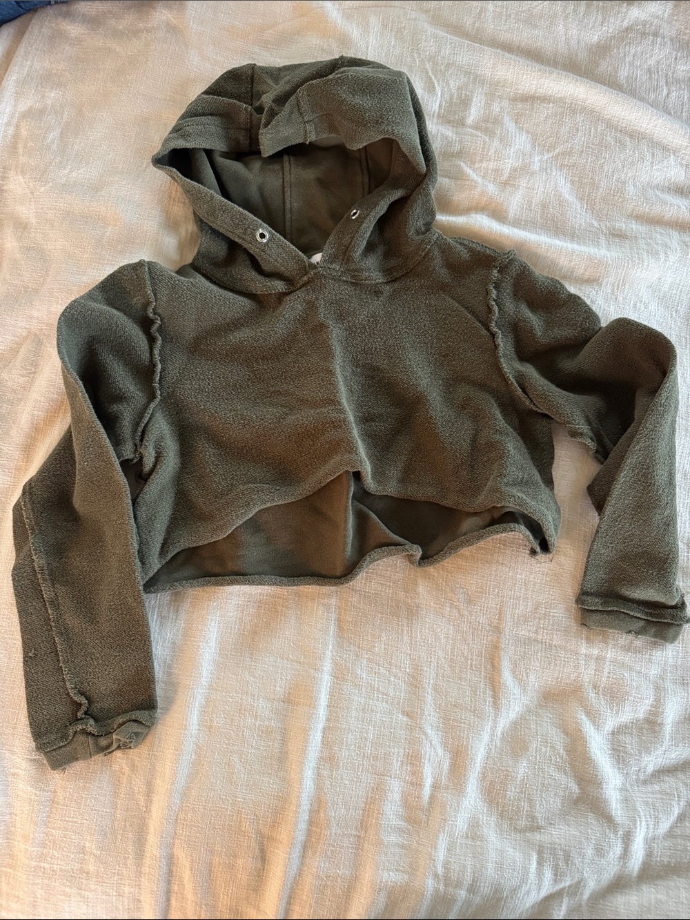 Danielle Guizio crop hoodie